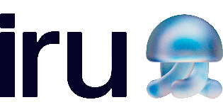 Iru